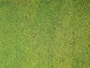 Yeşil pürüzlü yüzey dokusu malzemesi arkaplanı