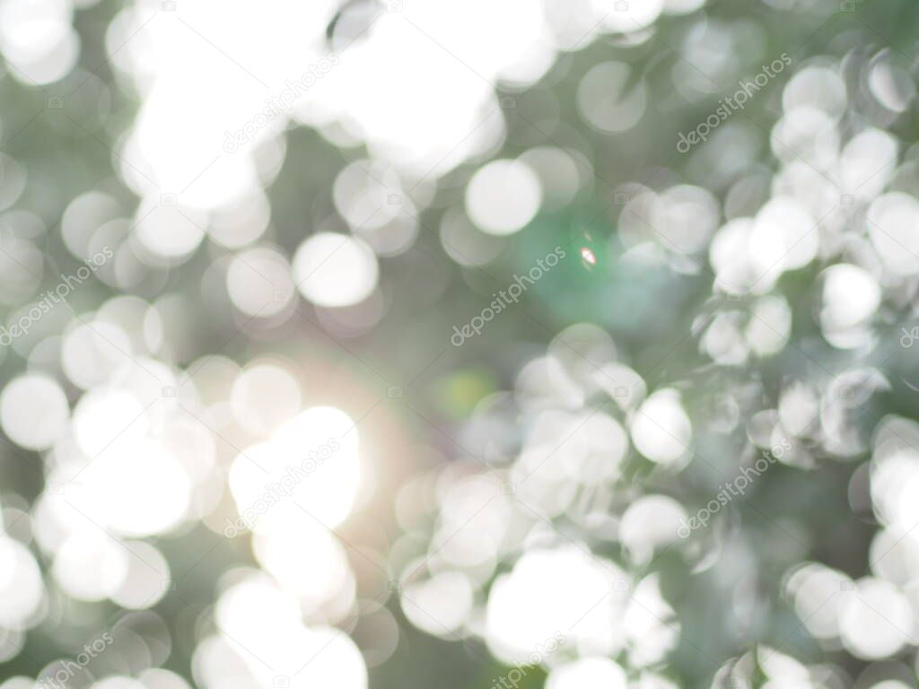 Abstract natural bokeh sunlight background tree stock photo