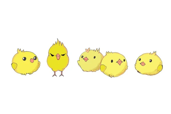 Chicken Cartoon Fünf Gelbe Farben Auf Weißem Hintergrund — Stockfoto