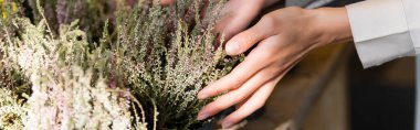 Çiçekçinin Heather 'a gün ışığında dokunuşunun kısmi görüntüsü, afiş