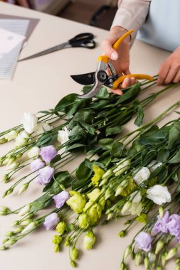 cropped view of florist holding secateurs while making bouquet with eustoma flowers clipart