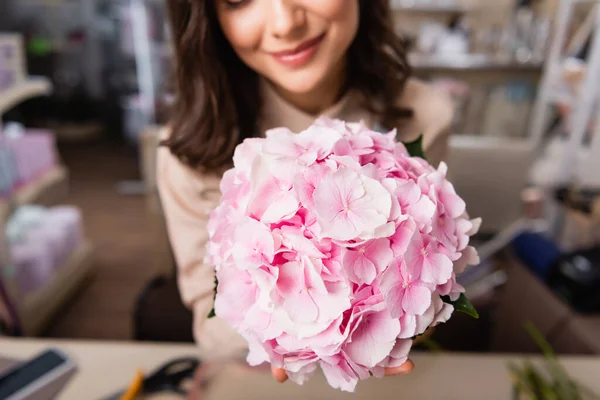 Close Vista Hortênsia Florescente Com Florista Feminino Borrada Fundo — Fotografia de Stock