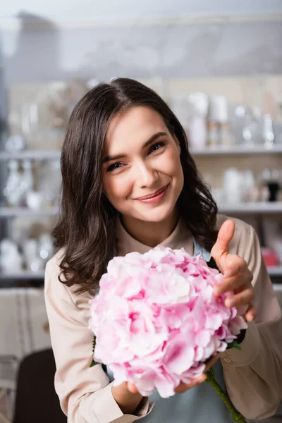 Portrait Happy Brunette Florist Blooming Hydrangea Looking Camera Blurred Background — Stock Photo, Image