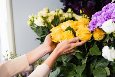 Cropped view of female florist caring about yellow roses near range of flowers on blurred background clipart