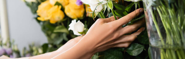 Cropped view of florist caring about stalks of white roses with blurred flowers on background, banner