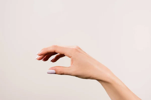 Beskärd Kvinnlig Hand Isolerad Grå — Stockfoto