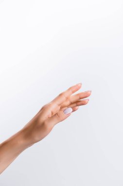 Kırpılmış kadın eli görüntüsü beyaza izole edilmiş