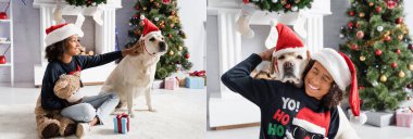 Heyecanlı Afro-Amerikan kız kolajı Labrador köpeğini kucaklarken yerde oyuncak ayı ve pankartıyla oturuyor.