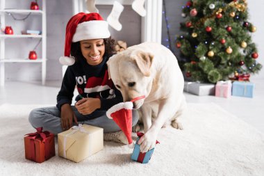 Burnunda Noel Baba şapkası olan labrador köpeği bulanık arka planda mutlu Afrikalı Amerikalı bir kızın yanında hediye kutusuna dokunuyor.