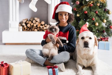 Afro-Amerikan kızı, Labrador köpeği ve kedisi hediye kutularının yanındaki kameraya ve bulanık arka plandaki noel ağacına bakıyor.