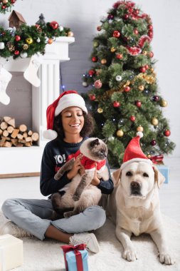Labrador ve noel ağacının yanında otururken tüylü kedi tutan neşeli Afrikalı Amerikalı kız. 