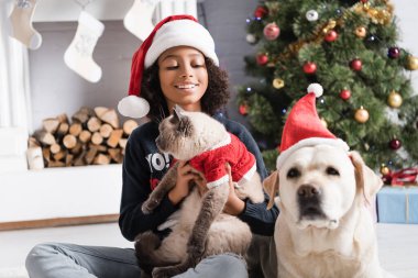 Gülümseyen Afrikalı Amerikalı kız Labrador köpeğinin yanında tüylü kedi tutuyor ve bulanık arka planda noel ağacı