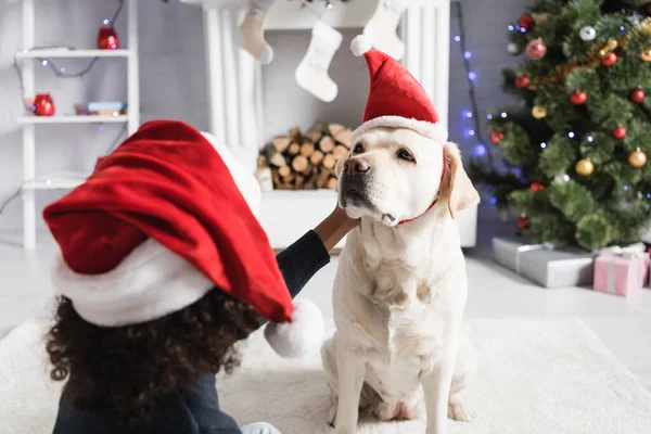 Back View African American Girl Stroking Labrador Dog Santa Hat — Stock Photo, Image