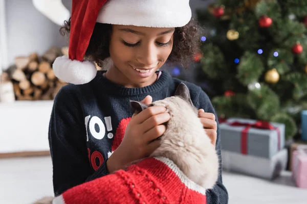 Joyful African American Girl Santa Hat Stroking Fluffy Cat Blurred — Stock Photo, Image