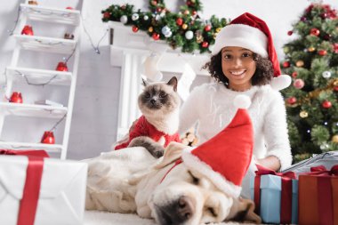 Labrador yakınlarında kedisi olan mutlu Afro-Amerikan kızı bulanık ön planda Noel Baba şapkasıyla uyuyor.