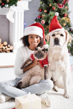 Neşeli Afrikalı Amerikalı kız labrador köpeğinin yanında tüylü kedi ve bulanık arka planda noel ağacı tutuyor.