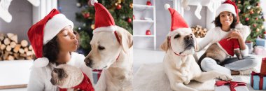 Afrikalı Amerikalı kız kolajı labrador köpeğine hava öpücüğü gönderirken arka planda bulanık bir kedi ve pankarttaki Noel ağacının yanında oturuyor.