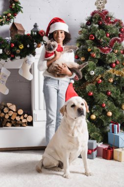 Neşeli Afrikalı Amerikalı kız Noel ağacının yanında tüylü kedi, süslü şömine ve labrador köpeği tutuyor.