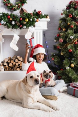 Heyecanlı Afrikalı Amerikalı kız elinde hediye kutusuyla Noel ağacının yanında pofuduk kedi ve labrador köpeğiyle oturuyor. 