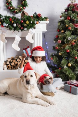 Mutlu Afrikalı Amerikalı kız, Noel ağacı ve şöminenin yanında kedi ve köpekle otururken hediye kutusu tutuyor.