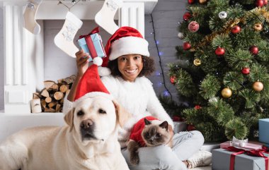 Neşeli Afrikalı Amerikalı kız, Labrador köpeğinin yanında bulanık ön planda noel hediyesi tutuyor.  