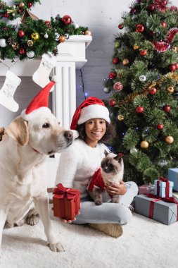 Mutlu Afrikalı Amerikalı kız elinde hediye kutusuyla Noel ağacının yanında kedi ve köpekle otururken 