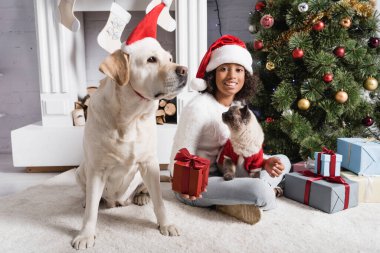 Mutlu Afrikalı Amerikalı kız, Noel ağacının yanında kedi ve köpekle otururken hediye kutusunu tutuyor.  