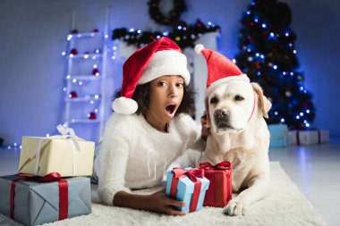 Heyecanlı Afrikalı Amerikalı kız labrador köpeğinin yanında yerde yatıyor ve bulanık arka planda yılbaşı hediyeleri