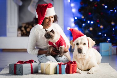 Mutlu Afrikalı Amerikalı kız Noel Baba şapkalı, kediye sarılıyor ve labrador 'un yanında beyaz halıda oturuyor hediyelerle, bulanık arka planda.