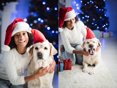Mutlu Afrikalı Amerikalı kız kolajı esneyen köpeğe Noel Baba şapkası takıyor, bulanık arka planda Labrador 'a sarılıyor.