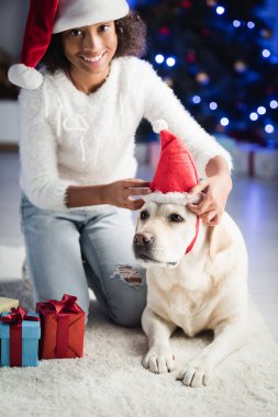 Neşeli Afro-Amerikalı kız Noel Baba şapkasını av köpeğine takıyor, hediyelerin yanında oturuyor bulanık arka planda.
