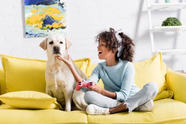 KYIV, UKRAINE - Ekim 02, 2020: evde koltukta otururken joystick 'li mutlu kız labrador ağızlığına dokunuyor.