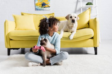 KYIV, UKRAINE - OCTOBER 02, 2020: African american girl with joystick and cat and looking at labrador on sofa at home