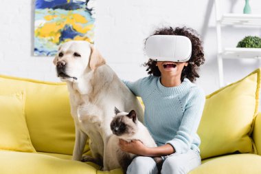 VR kulaklıklı korkmuş Afrikalı Amerikalı kız labrador ve kedinin yanında oturuyor evdeki kanepede, bulanık arka planda.
