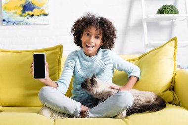 Heyecanlı Afro-Amerikalı kız boş ekranlı akıllı telefon ve kediyi okşuyor, bulanık arka planda koltukta oturuyor.