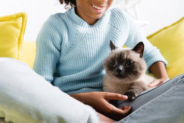 Cropped view of smiling african american girl with crossed legs, stroking cat lying on sofa at home clipart
