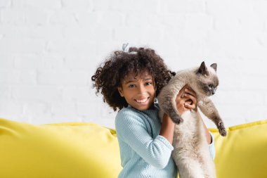 Happy african american girl holding siamese cat, while looking at camera at home clipart