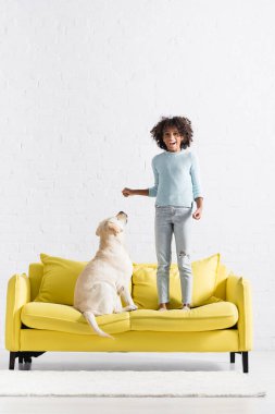 Excited african american girl standing on sofa near retriever, while looking at camera at home