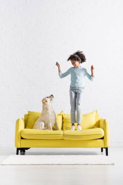 Happy african american girl with hands in air standing on sofa, while looking at labrador at home