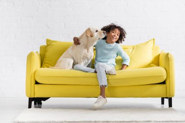 Cheerful african american girl embracing retriever sitting on sofa, while looking at camera at home
