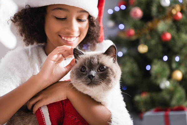 joyful african american girl in santa hat stroking fluffy cat on blurred background