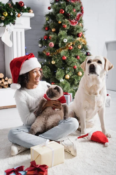 Aufgeregtes Afrikanisch Amerikanisches Mädchen Schaut Labrador Hund Während Sie Katze — Stockfoto