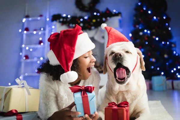 Chica Afroamericana Labrador Santa Hat Bostezando Mientras Yacía Suelo Cerca — Foto de Stock