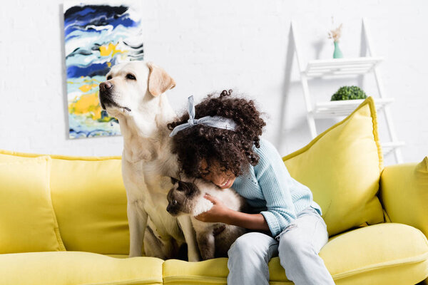 Happy girl bending and hugging siamese cat, while sitting near labrador on yellow sofa at home