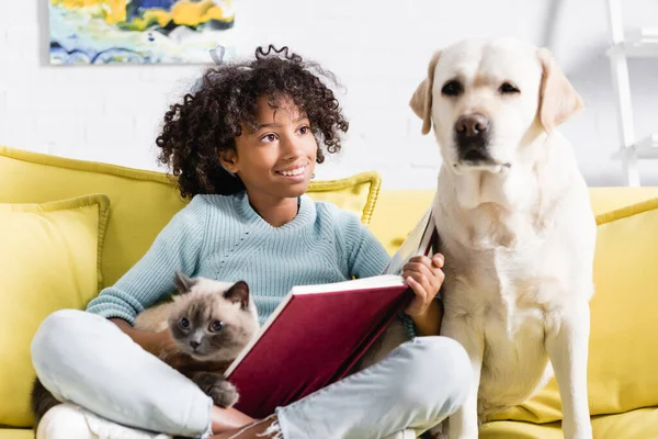 Chica Afroamericana Con Libro Abierto Abrazando Gato Mientras Mira Labrador — Foto de Stock