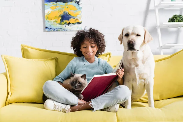 Chica Afroamericana Con Libro Abierto Mirando Gato Mientras Está Sentada —  Fotos de Stock