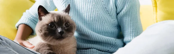 Vista Recortada Niña Abrazando Gato Casa Bandera — Foto de Stock