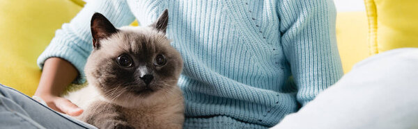 Cropped view of girl embracing cat at home, banner