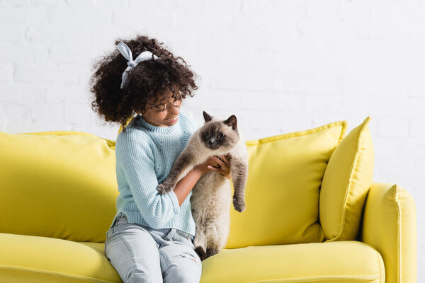 Happy curly girl with headband holding and looking at siamese cat, sitting on sofa at home