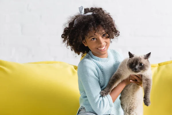 幸せな巻き毛の女の子保持Samese猫と座っています上のソファにホーム — ストック写真